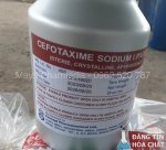 Cefotaxime Concept lon 1kg.jpg