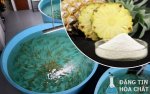 enzyme-bromelain-trong-nuoi-trong-thuy-san-768x480.jpg