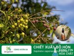 chiet-xuat-bo-hon-biogreenjsc-768x576.jpg