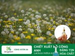 chiet-xuat-bo-cong-anh-biogreenjsc-768x576.jpg