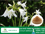 cao-kho-trinh-nu-hoang-cung-biogreenjsc-768x576.png