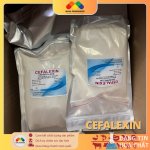 CEFALEXIN (3).jpg