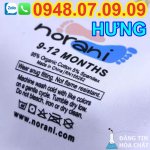 mác chuyển nhiệt.jpg
