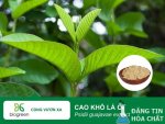cao-kho-la-oi-biogreenjsc-1-768x576.jpg