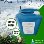 marketplace-DK-Yucca-Liquid-yucca-nuoc-my (8).jpg