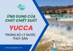 yucca-xu-ly-nuoc.jpg
