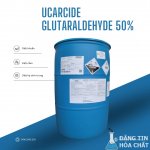 glu1.jpg