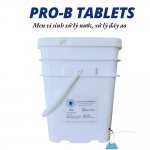 Marketplace-PRO-B-TABLETS-1 (3).jpg