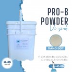 PRO B Powder(2).jpg