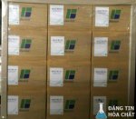 z3240818333237_c0b063d1740697cc1e4d6e3cb0eab6e8.jpg