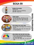Poster BOGA 99.jpg