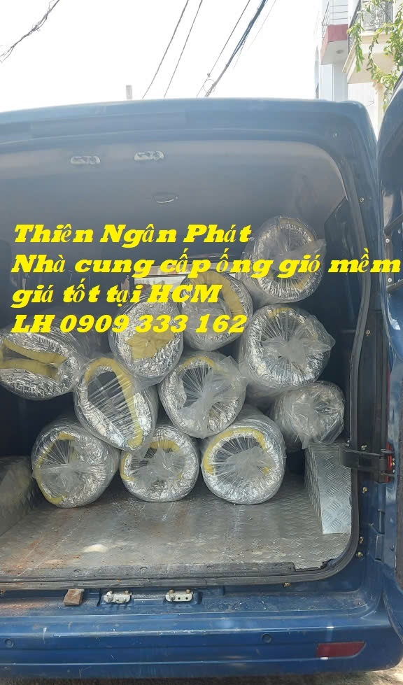 giao -hang-ong-gio-mem-tại-hcm 1 -tnp .jpg