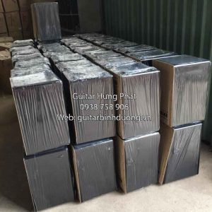 trong-cajon-gia-re-tai-binh-duong-3-300x300.jpg
