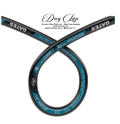 ong thuy luc gates duylap.com .vn