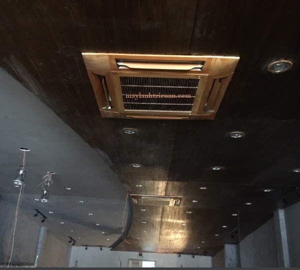 am-tran-cassette-T43-ta5