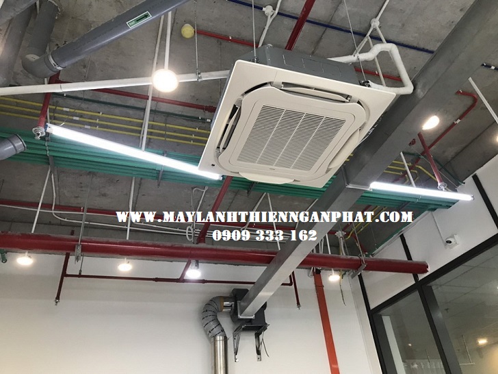 MAY-AM-TRAN-DAIKIN-TNP.jpg