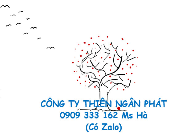 Thiên Ngân Phát - Đại lý chính hãng giá rẻ