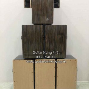 trong-cajon-gia-re-tai-binh-duong-2-300x300.jpg