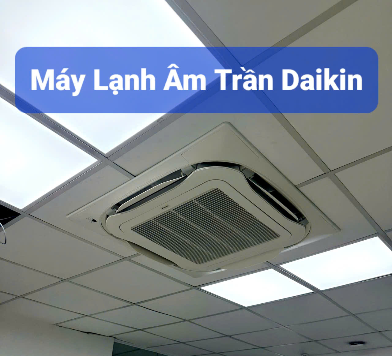 MAY-LANH-AM-TRAN-DAIKIN-TNP.jpg