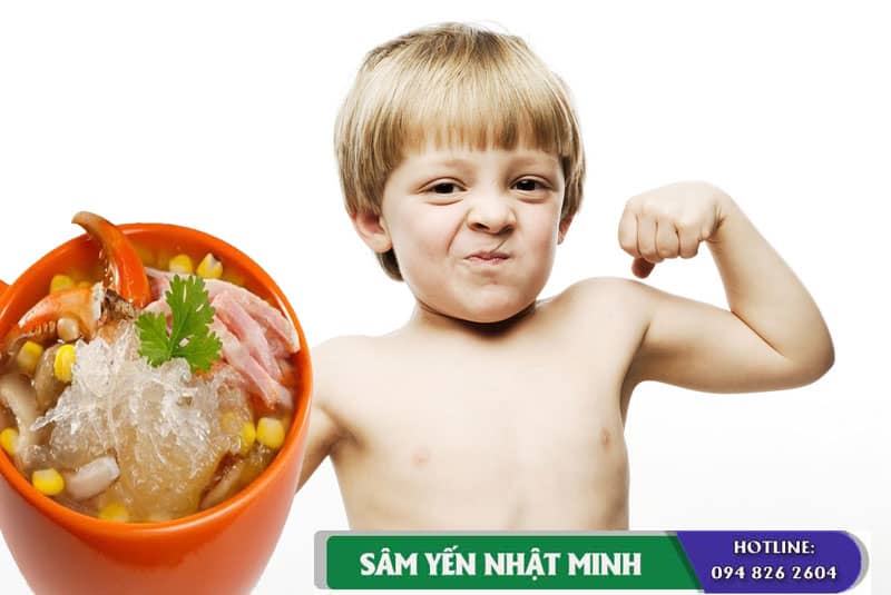 Tác dụng tổ yến sào tiềm cua