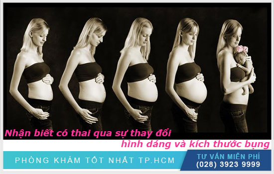 Nhận biết có thai qua sự thay đổi hình dáng và kích thước bụng